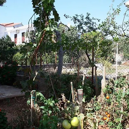 Daire Apartments By The Sea Rogoznica - 4660 Rogoznica (Sibenik-Knin)